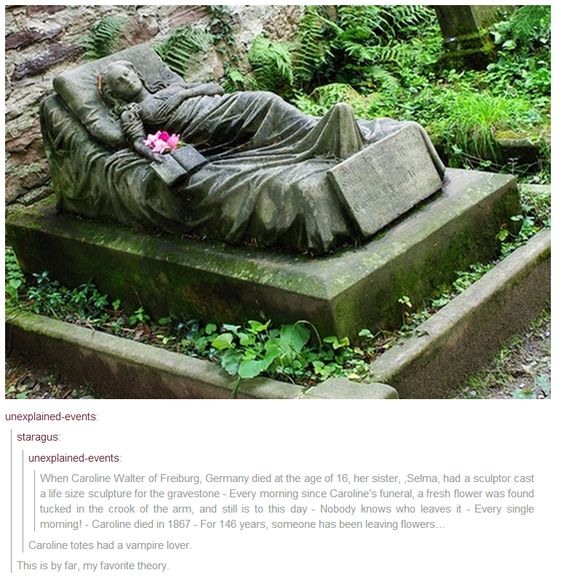 103a8703f2117f1a2cf77d5fa37e5cb5